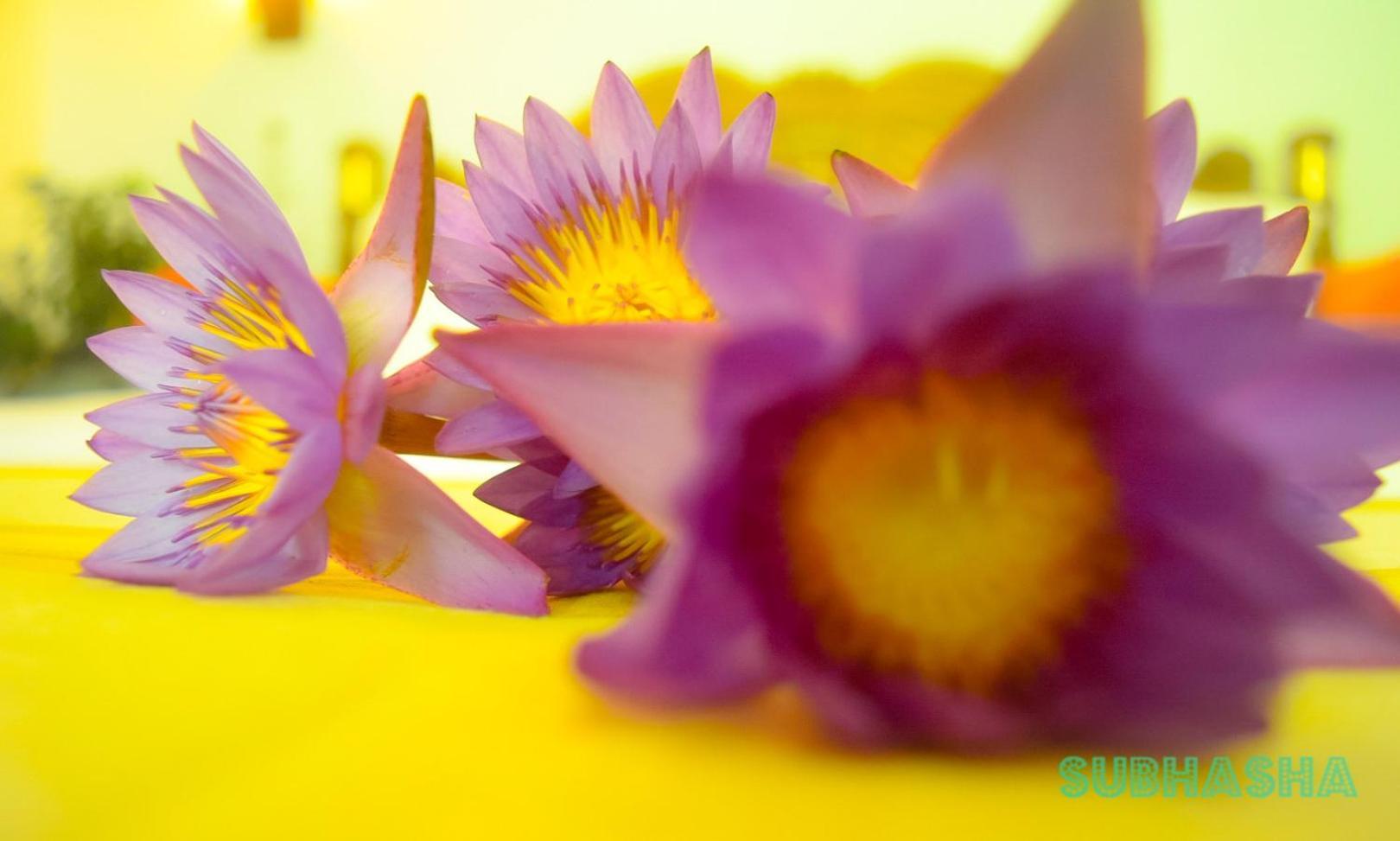 Subhasha Summer House Talalla South 部屋 写真